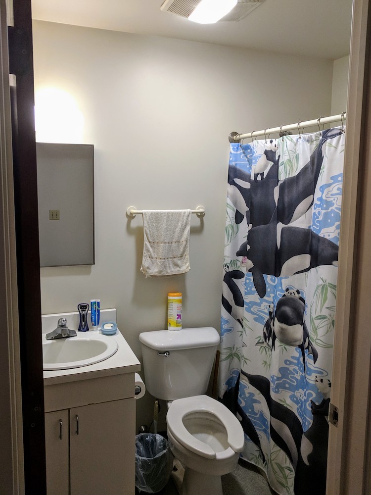 Full bathroom with sink, mirror, and shower
